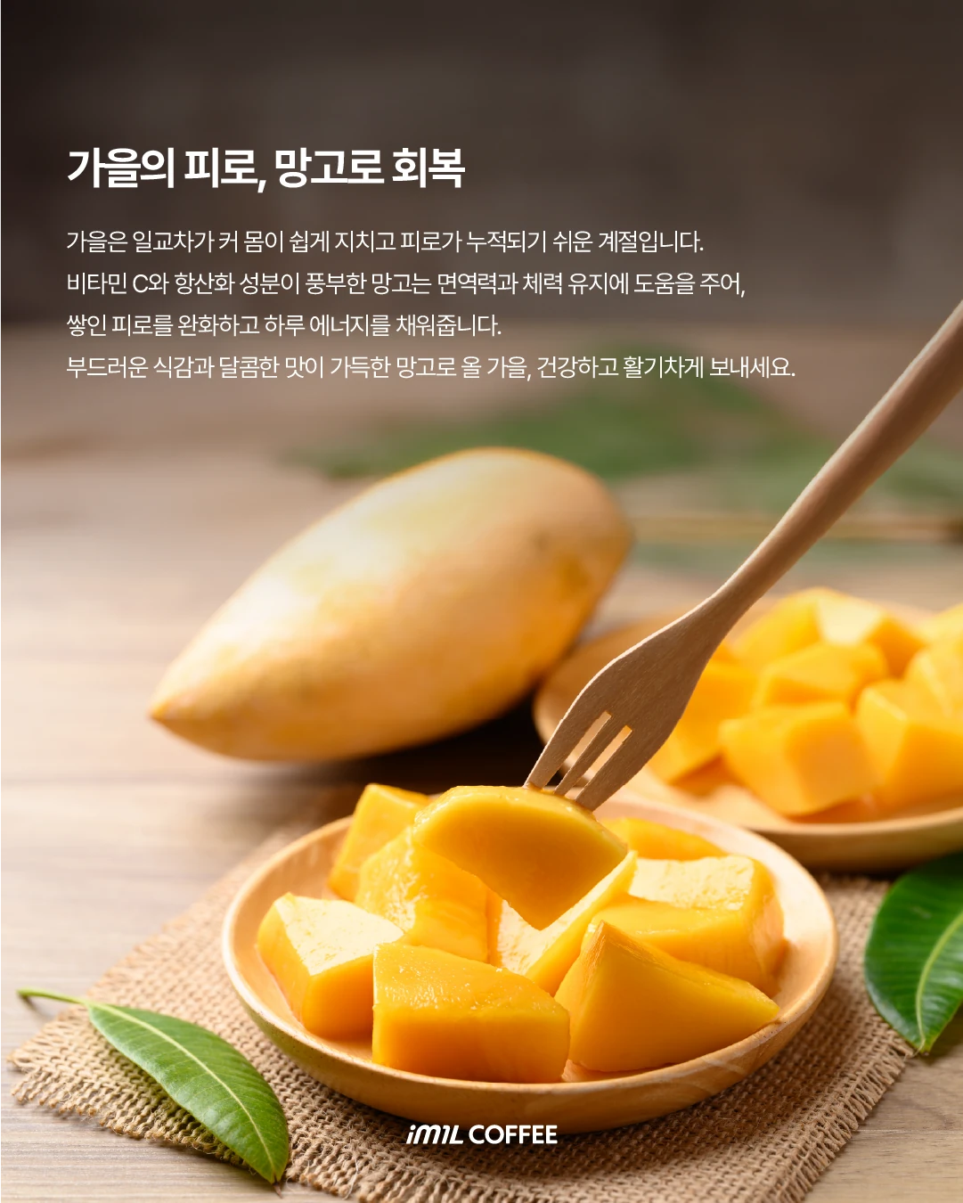 𝐄𝐀𝐓𝐂𝐑𝐈𝐏𝐓 | 달달한게 땡길 때 딴거 '망고' 이거🥭 본문 이미지 3